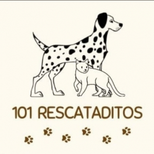 101 rescataditos