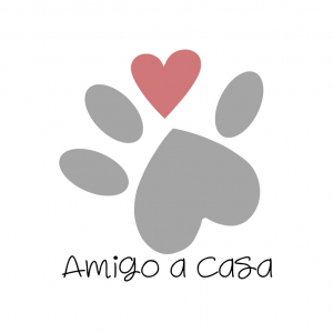 Amigo a Casa