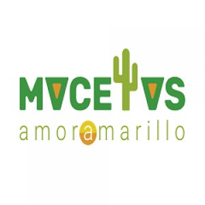 Amor Amarillo Macetas