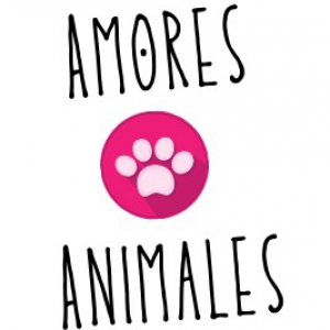 Amores animales