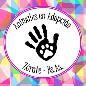 Animales en Adopción Zárate