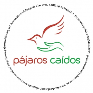 Asociación Civil Pájaros Caídos