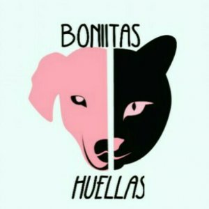 Boniitas huellas
