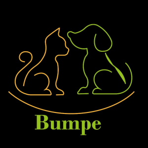 Bumpe