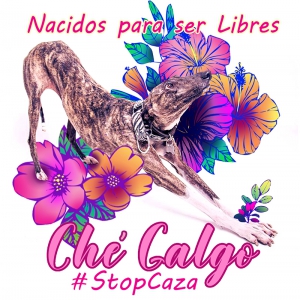 Ché Galgo