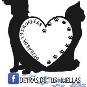 Detrás de tus huellas