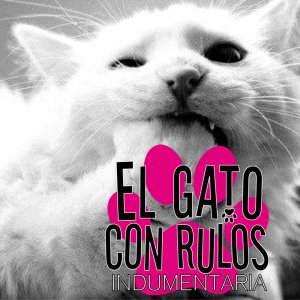 El gato con rulos