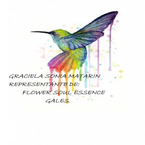 Esencias florales para el alma