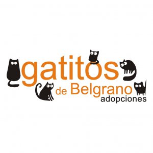 Gatitos de Belgrano Adopciones