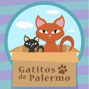 Gatitos de Palermo