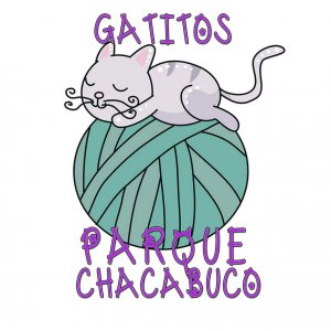 Gatitos Parque Chacabuco