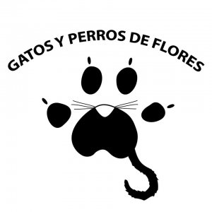 Gatos y Perros de Flores