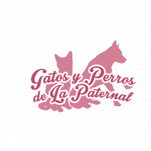 Gatos y perros de la Paternal