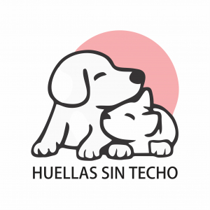 Huellas sin techo 