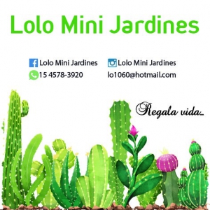 Lolo Mini Jardines