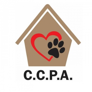 Los perritos del palomar refugio - CCPA