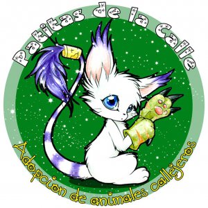 Patitas de la Calle