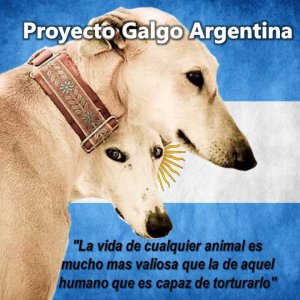 Proyecto Galgo Argentina