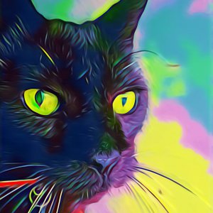 Rascadores Gato Negro