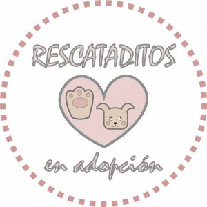 Rescataditos en Adopción