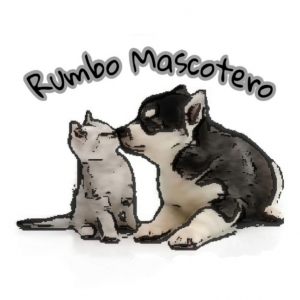 Rumbo Mascotero