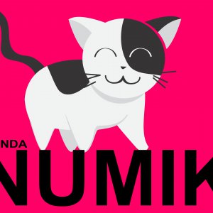 Tienda Numik