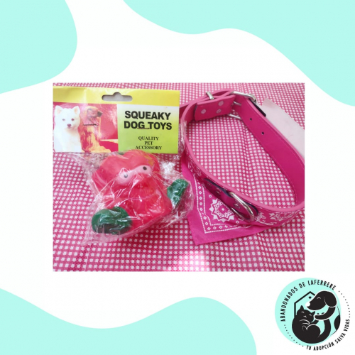 Pack de collar con juguete chifle